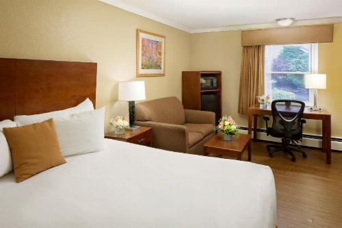 Best Western Bennington image 15
